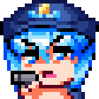 cirno_police